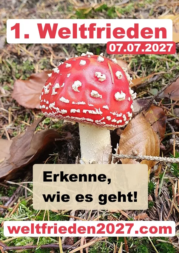 Der 1. Weltfrieden und der Fliegenpilz Der 1. Weltfrieden und der Fliegenpilz